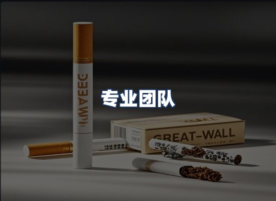 专业团队